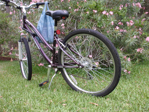 Bike with Pink Flowers