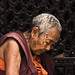 monjo tibetà