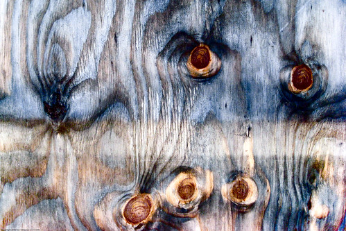 Untitled Abstract / 20090930.SD850IS.3335.P1.L1.C23 / SML (by See-ming Lee 李思明 SML)