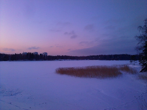 Winter dusk
