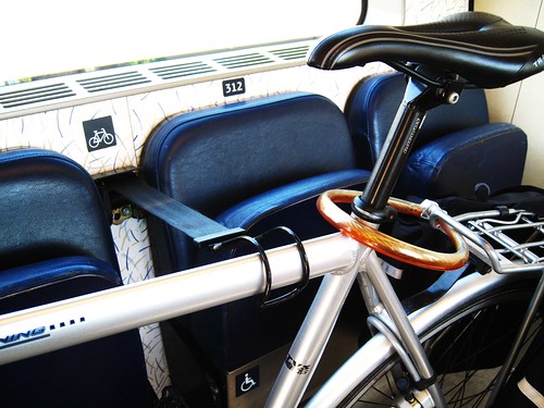 Seatbelt for Bicycles
