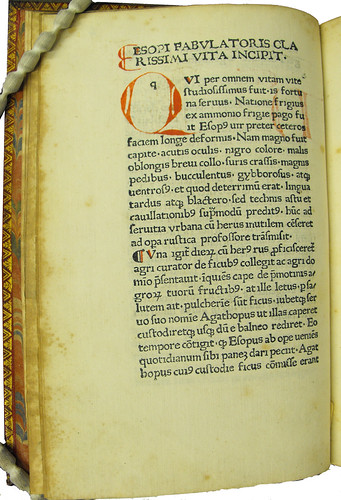 Coloured initial and paragraph marks in Aesopus: Vita et Fabulae