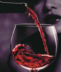 Cata de Vinos de San Juan: La calidad de los vinos se supera