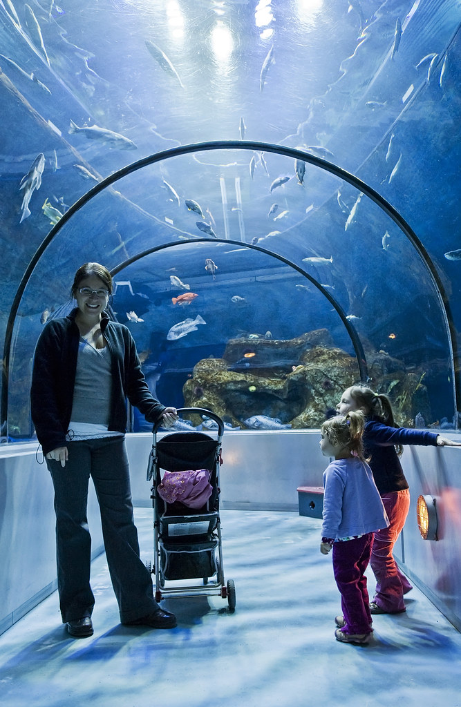 Aquarium de Québec