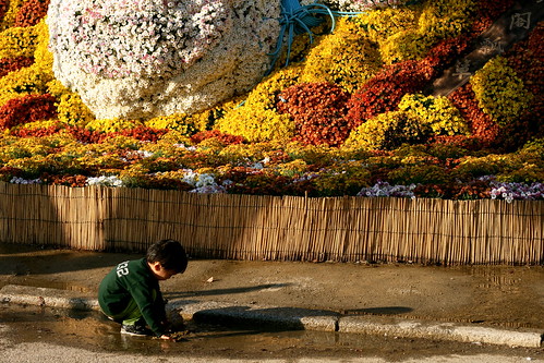 Small child and Sake Bottle flowers