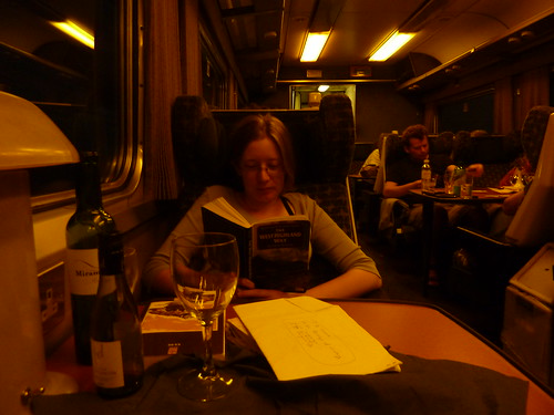 Reading in the lounge car