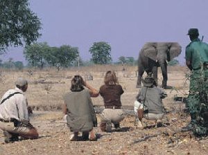 TOURS AND SAFARIS-Camping and Lodge Safaris Tour Travel Agent by Nature man2
