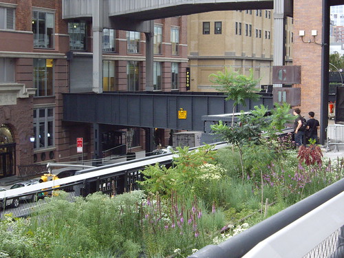 The High Line, New York, NY