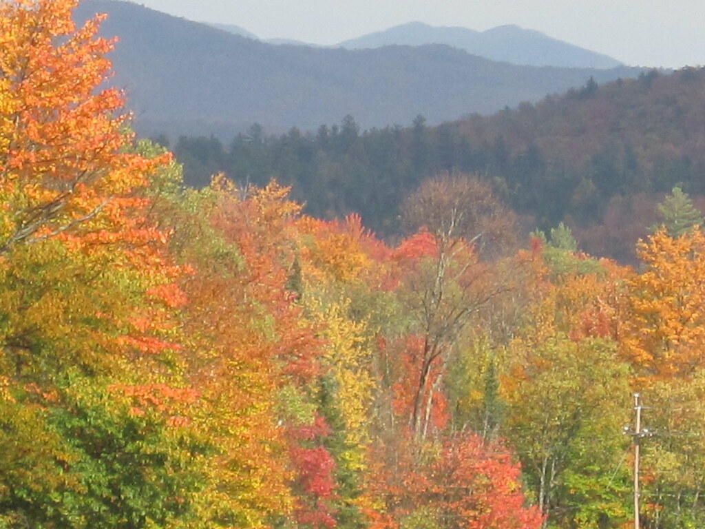 Adirondack color