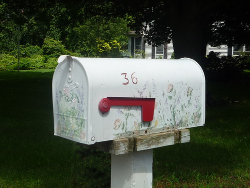 American painted Mailbox