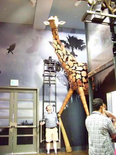 Brian, controlling the giraffe