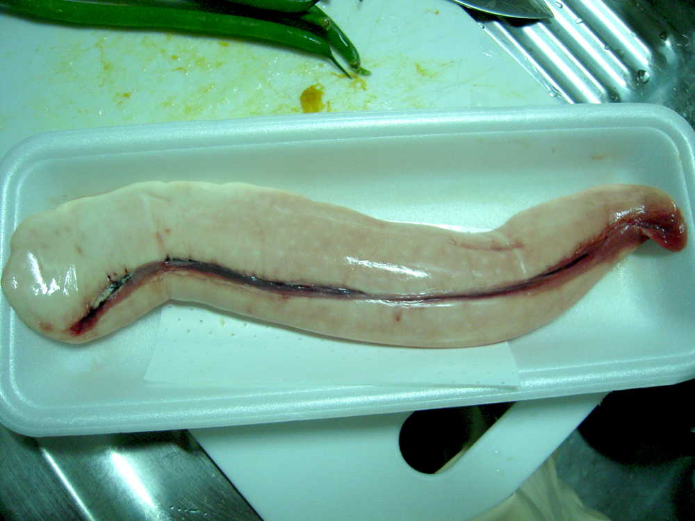 salmon shirako