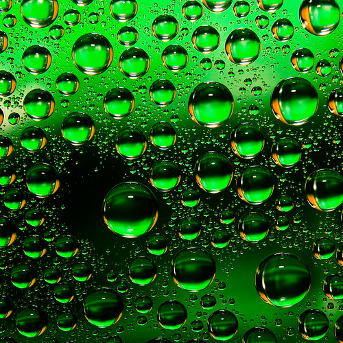 Water drops ©  Dima Bushkov