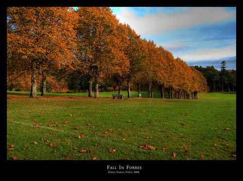 FALL IN FORRES
