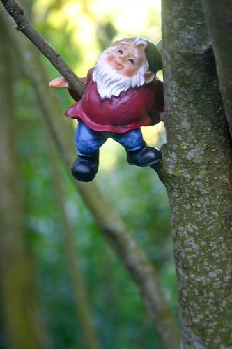 This little gnome likes hanging out in the trees