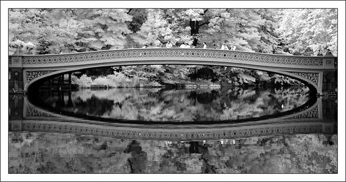 bow bridge in central park nyc. mikealex#39;s photostream (3051) middot; Bow Bridge