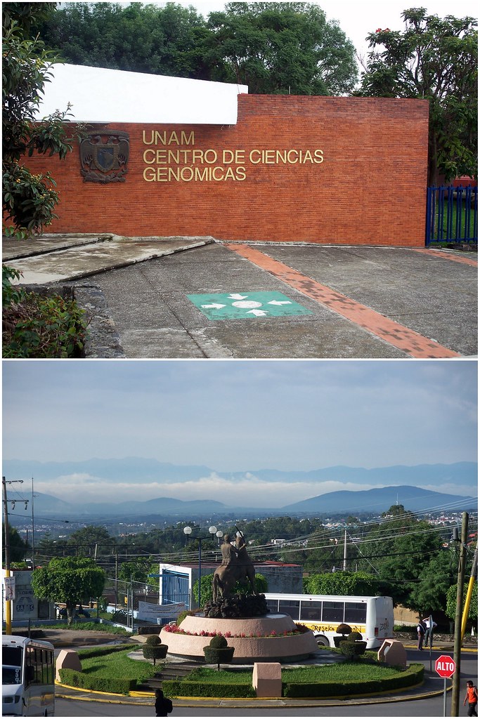 CCG and View of Cuernavaca