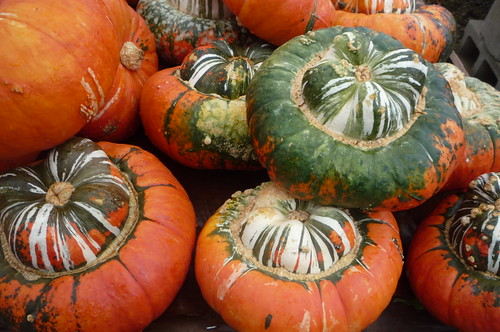 Striped pumpkins
