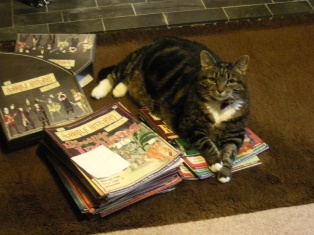 tabbycat and books