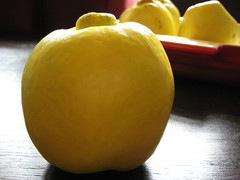 quince, about to be baked