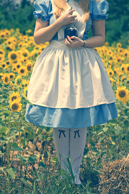 Alice in Wonderland - If I had a World of my own... by Brandon Christopher Warren