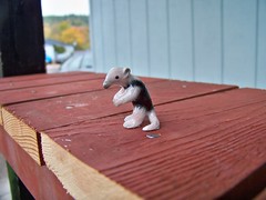 Baby anteater figurine gift