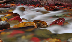 Colored Rocks in a Stream