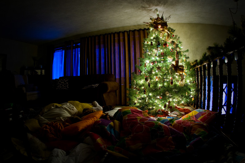 The family Christmas tree