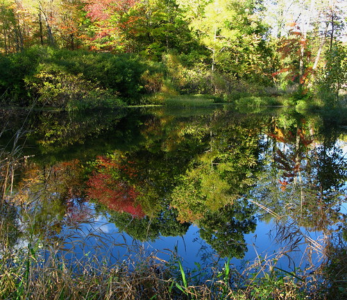 Autumn Pond flickr