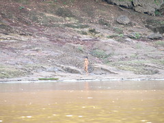 Naked Kid on the Mekong