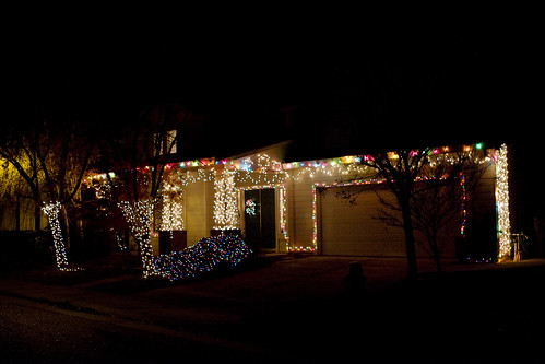 Christmas lights [332/365]