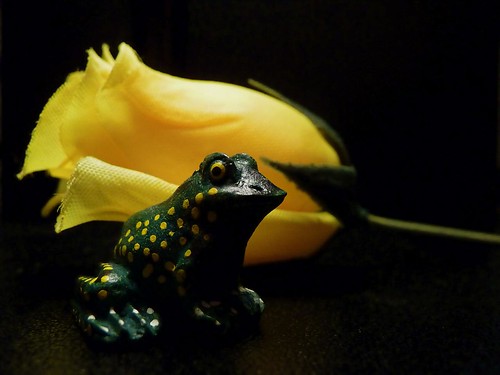 365-010_The Frog & The Flower