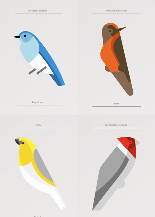 birds by Josh Brill