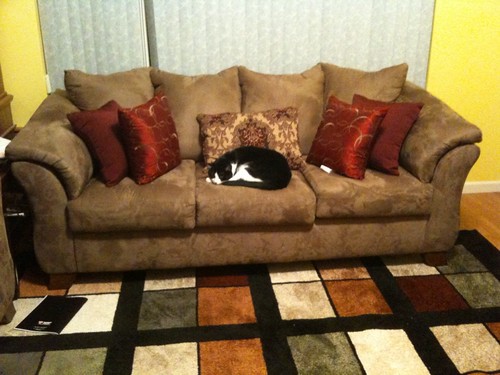 Max claims the sofa