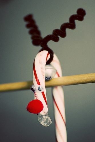 rudolph candy cane [4]