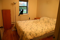 $950 furnished room in heart of Fort Greene July-September