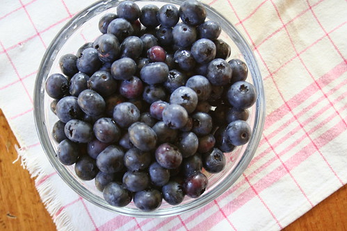 blueberry goodness