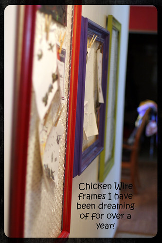 chicken wire frames-3