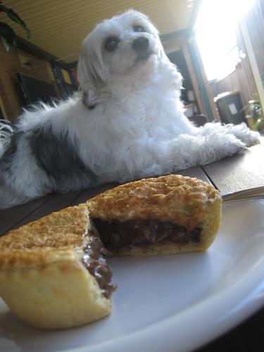 Beef the Dog and Beef the Meat Pie