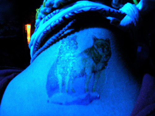 Lone Wolf One of the many tattoos I 