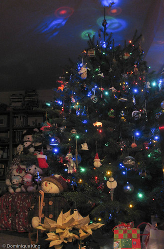 Christmas tree 2009