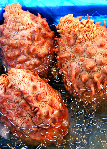 unidentified sea creature, tsukiji fish market