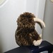 Kiwi im Flugzeug