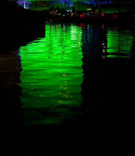 Reflection in Green - Photowalk December 21, 2009