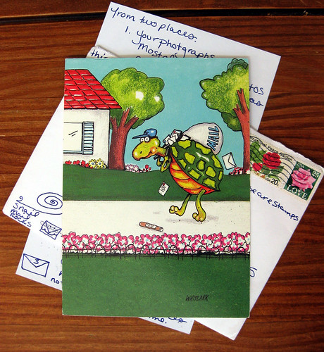 Turtle mail