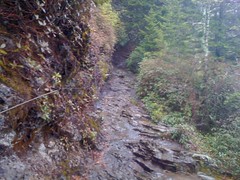  Alum Cave Creek Trail 1