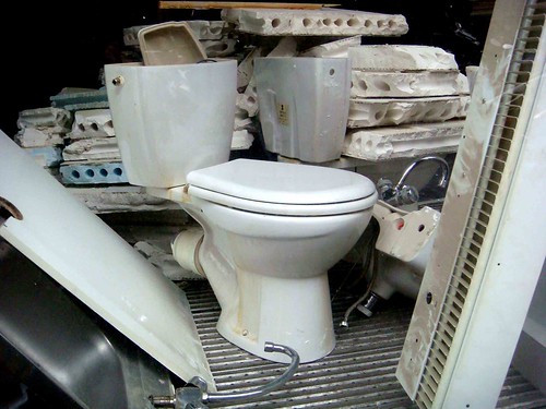 toilets of paris