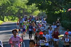 Scene from Honolulu Marathon Scene from Honolulu Marathon
