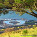 2010 Soccer World Cup Green Point Stadium from Signal Hill through the trees July 23 2009