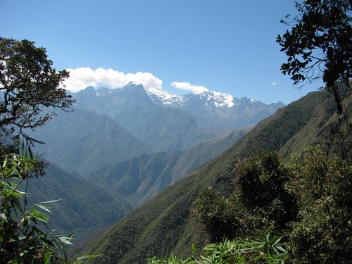 view from the jungle on the descent to camp